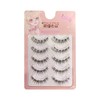 False Eyelashes, Natural, 5 Pairs Popular, Clear Axis, Soft Core,