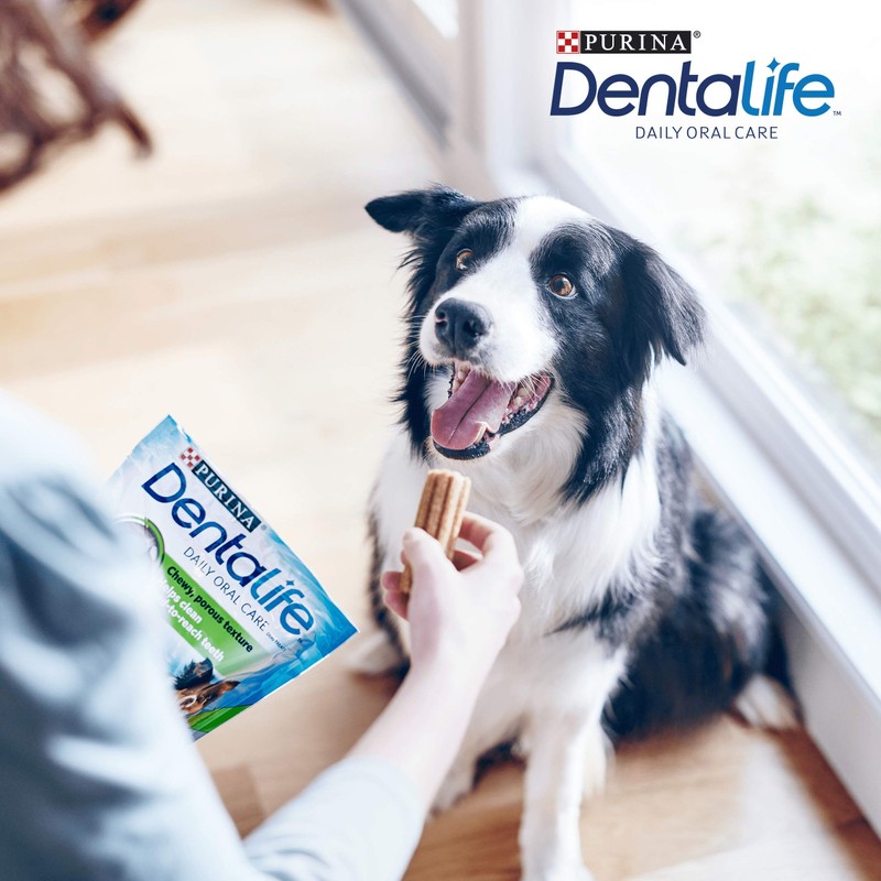 DENTALIFE Medium Dental Chicken Dog Chews 15 Sticks