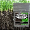 Seedlingers Fix & Feed Lawn Food 25 Pound Granular