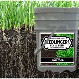 Seedlingers Fix & Feed Lawn Food 25 Pound Granular