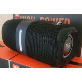 T&G HIGH POWER PORTABLE WIRELESS BLUETOOTH SPEAKER