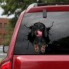Fabisup Dachshund Riss 3D Car Sticker Decoration for SUV Windows,