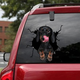 Fabisup Dachshund Riss 3D Car Sticker Decoration for SUV Windows, Glass, Fridge and Toilet