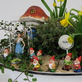 FADEDA 8 x Snow White and the Seven Dwarfs, Height: 8 cm, Hand-Painted, Detailed Nativity Scene Figures, Christmas Table Decoration, Nativity Accessories