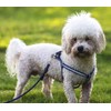 PENTA ANGEL 4Pcs Dog Leash Clasp Heavy Duty Snap Hooks