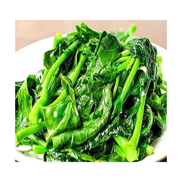 Big Pack - (1,500) Chinese Broccoli, Kailan GAI LAN Seeds
