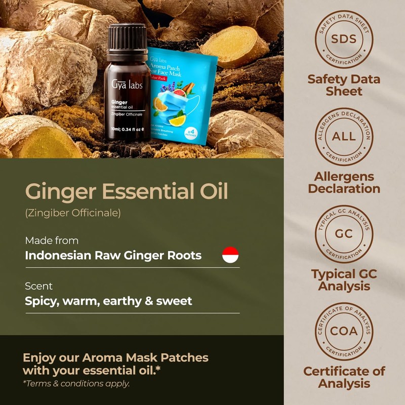 Gya Labs Ginger Essential Oil - 0.34 Fl Oz -