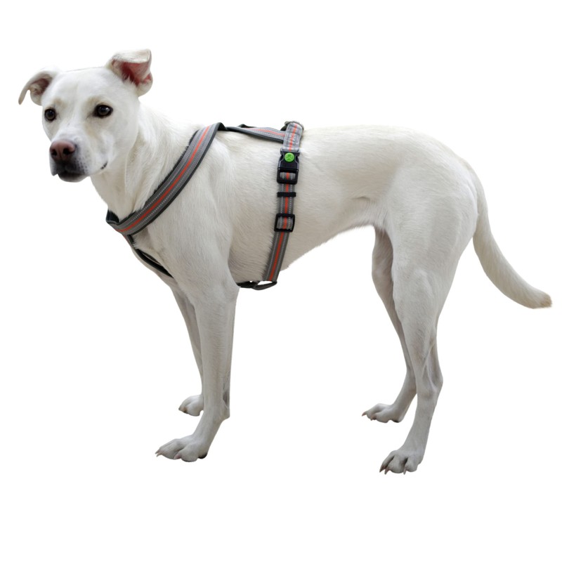 Kerbl Pet Xenos Harness 15 mm x 30-40 cm Grey/Red