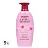 Organist Cherry Blossom Moisture Nutrition Conditioner, 5 packs, 500ml / 오가니스트 체리블라썸 수분 영양 컨디셔너, 5개, 500ml