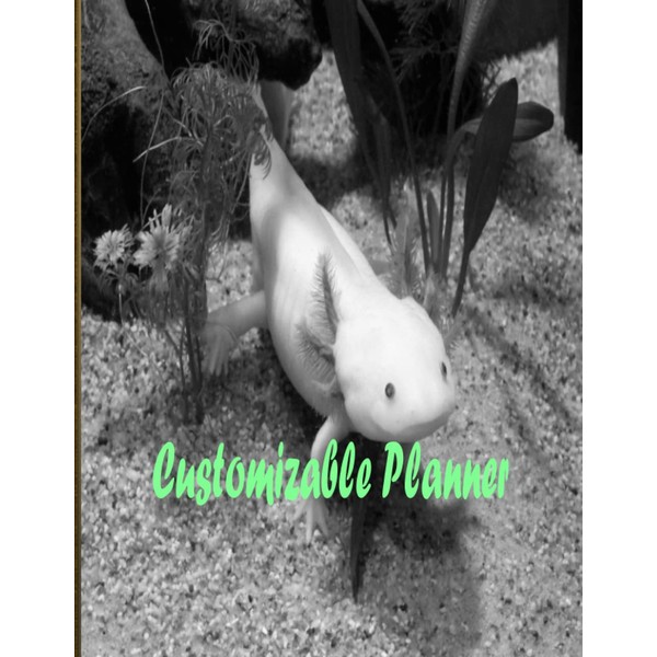 Customizable Planner: calender girl like books axolotls annual planner weekly