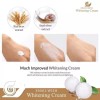 Bidameun Siyoul Crema Facial Coreana De Caracol_ Antiarrugas Y Antimanchas