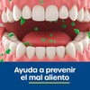 Cool Shock | Palillo Interdental 60pz. Doble punta con cepillo.
