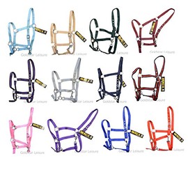 GS Equestrian Economy Cob Head Collar - Baby Blue