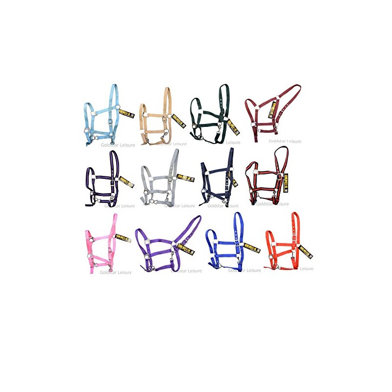 GS Equestrian Economy Cob Head Collar - Baby Blue