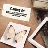 QDSSDECO 10"x10" Shadow Boxes Display Cases with Soft Linen Back