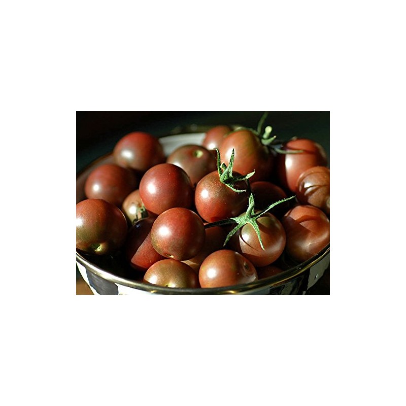 30+ Black Cherry Tomato Seeds, Heirloom Non-GMO, Low Acid, Indeterminate,
