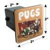 GRAPHICS & MORE Pugs Games RPG Pickup Groups LFG Rogue