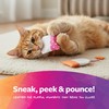 SmartyKat (2 Count Tea Teazers Catnip Cat Toys - Pink/Orange,