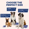 Bonza Large Foldable Dog Bowl 1000 ml Sturdy Reinforced Rim