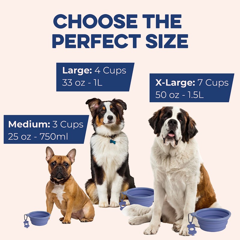 Bonza Large Foldable Dog Bowl 1000 ml Sturdy Reinforced Rim