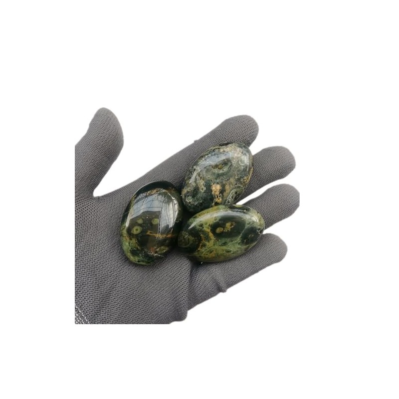 Sunshcat Natural Kambaba Jasper Mini Oval Palm Crystal and Healing