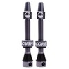 CushCore Tubeless Valve - 44mm (Pair) - Titanium