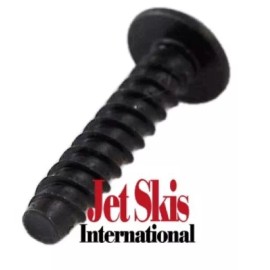 Sea-Doo Seadoo OEM SCREW-PLASTITE TORX CONE 250001007