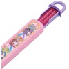 Skater ABS2AMAG-A Children's Chopsticks and Chopsticks Case Set, Silver Ion