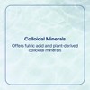 Trace Minerals Colloidal Minerals - Immune Health & Energy Support