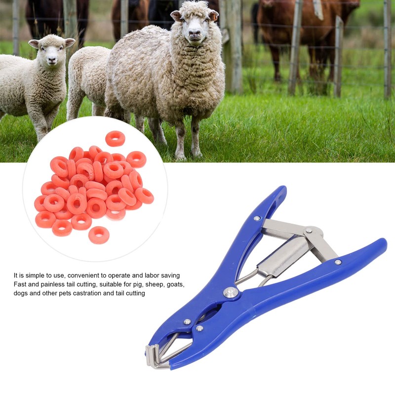 Castration Pliers Animal Tail Docking Clamp with 100 Red Rings
