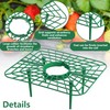 Iceyyyy 12 Packs Square Strawberry Supports-Strawberry Growing Racks- Plant Support