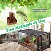 Apatal 2 PCS Chameleon Feeding Bowl Hanging Bearded Dragon Feeder