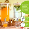 FillTouch 2 Pack 1.5 Gallon Glass Drink Dispensers for Party,