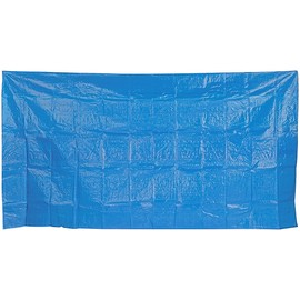 Speeron Pool Accessories: Pool Underlay for Inflatable Swimming Pools, 310 x 190 cm (Pool Underlay Tarpaulin, Pool Floor Cover, Tarpaulin)