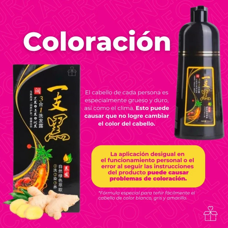 Shampoo Tinte Instantaneo Cubre Canas Natural Jengibre 500ml