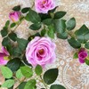 Shyshining 5.9FT Bendable Rose Flower Garland, Artificial Silk Roses Vine