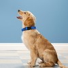 LZGOPE Reflective Dog Collar, Adjustable Soft Neoprene Padded Nylon Pet