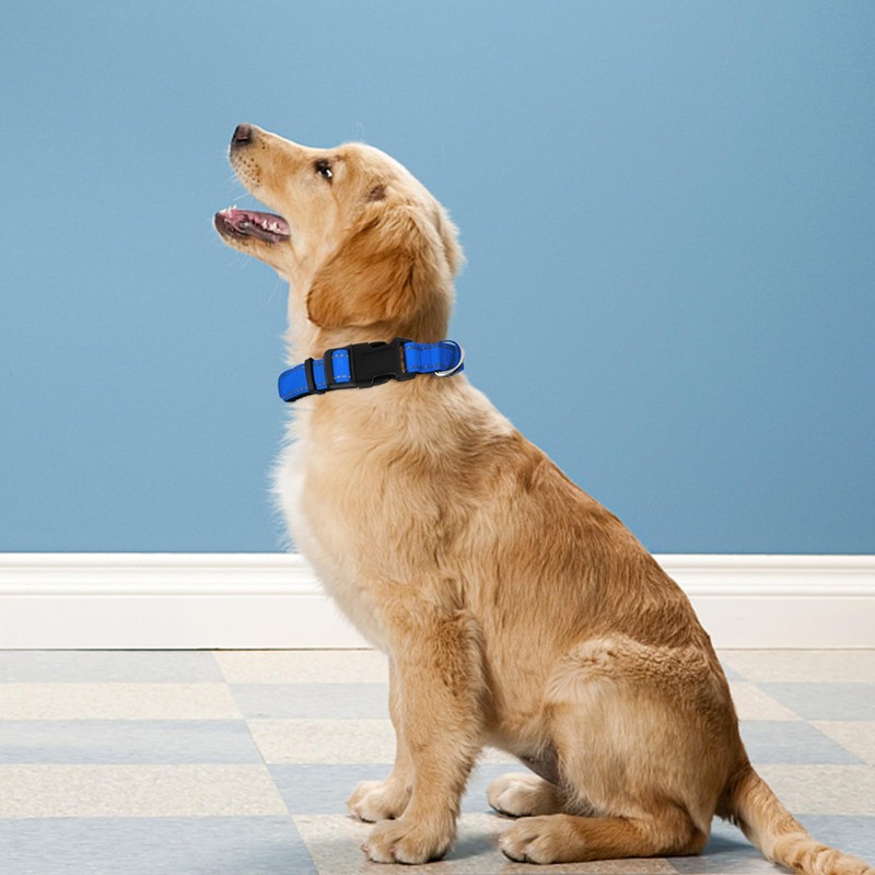 LZGOPE Reflective Dog Collar, Adjustable Soft Neoprene Padded Nylon Pet