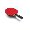 Butterfly Ovtcharov Prime C Table Tennis Bat, Professional Carbon Bat