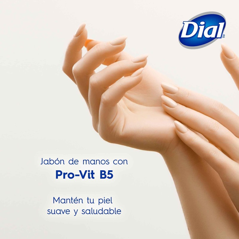 DIAL Repuesto de jabón líquido para manos, Uva & Pera,