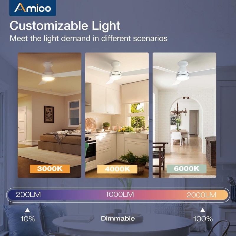 Amico Ceiling Fans with Lights, 42 inch Low Profile Ceiling