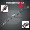 BDFHYK Oxygen Sensor Upstream O2, Compatible with Acura RSX, Honda