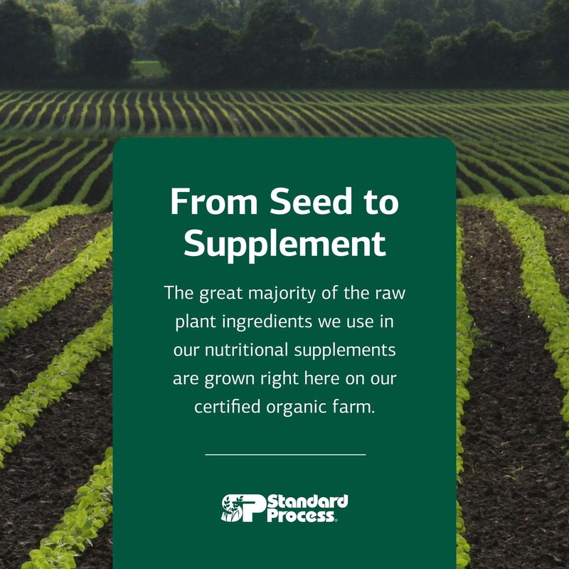 Standard Process Inc. Feline Enteric Support - 90 Tablets