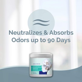 SMELLS BEGONE 15oz Gel Odor Eliminator - Absorb & Remove Tough Odors in Pet Areas, Bathrooms, Basements, Garage, Cars, RVs & Boats - Eliminate Odors Quickly (2-Pack, Soothing Breeze)