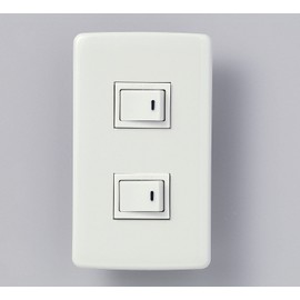 Elpa B-1955H Elegant Switch Switch x 2 Outlet Wiring DIY 300V 15A