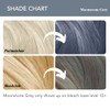 Paradyes Moonstone Grey Semi Permanent Conditioner Based Hair Color Enriched