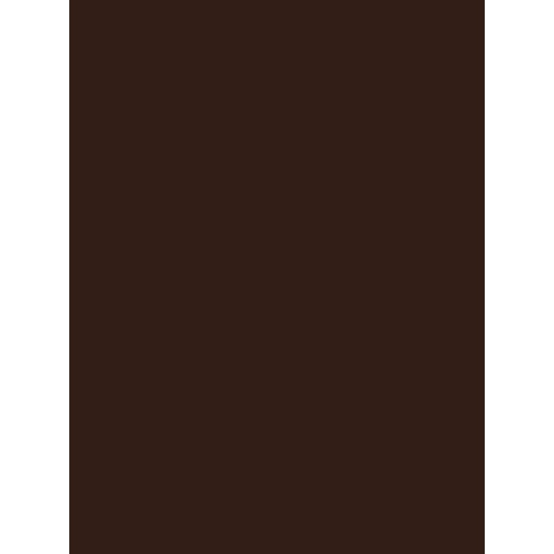 Design Master Colortool Spray Paint, 12-Ounce, October Brown