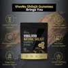 VivoNu Himalayan Shilajit Gummies | With Ashwagandha, Gokshura & other