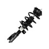 Front Strut and Coil Spring Assembly - Compatible with 2009-2012