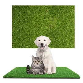 Dog Toilet Puppy Toilet 45 x 60 cm Artificial Grass Dog Toilet for Small Dogs Reusable Washable Dog Toilet Training Mat for Home, Balcony, Lawn